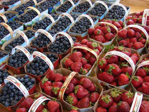 Bleuetière et fraisière, Ferme G. Desmarais